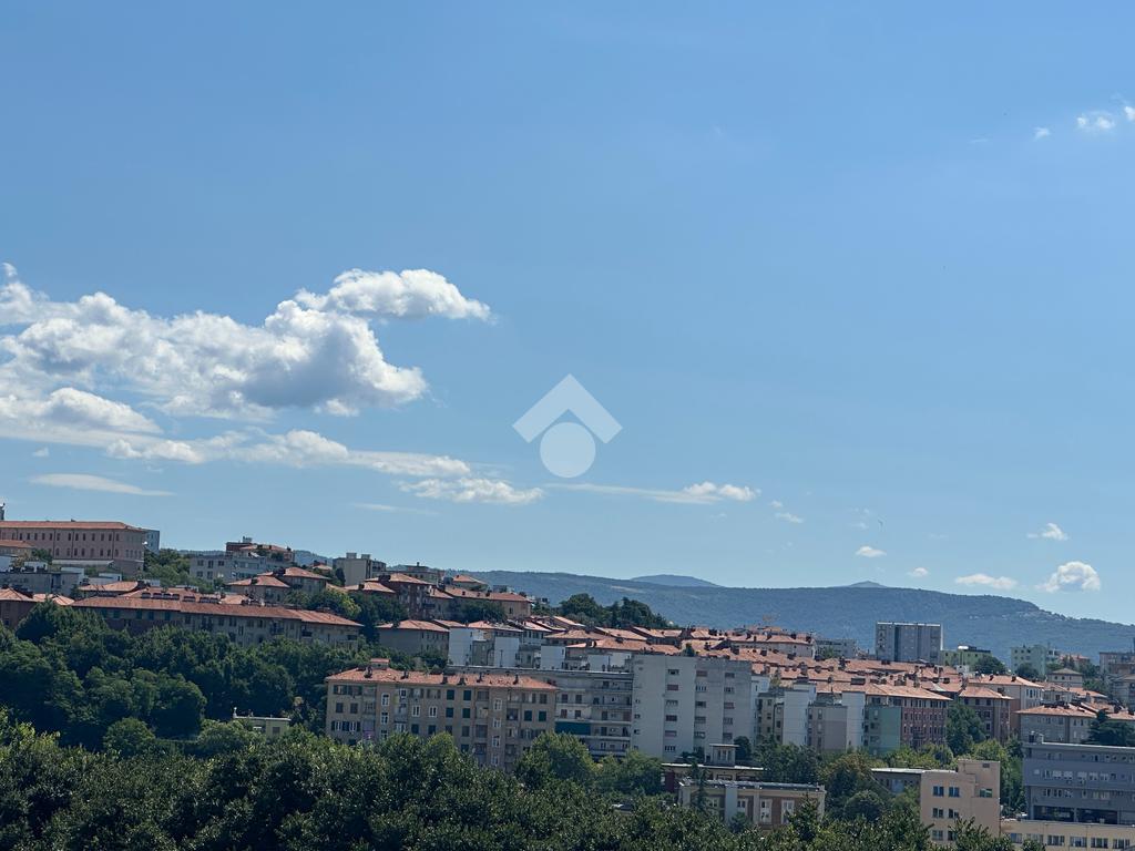 2 bedrooms Apartment in Trieste, Italy No. 310079