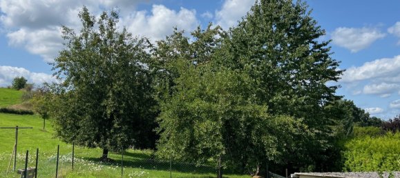 5 bedrooms Townhouse in Saarlouis, Germany No. 245903 10