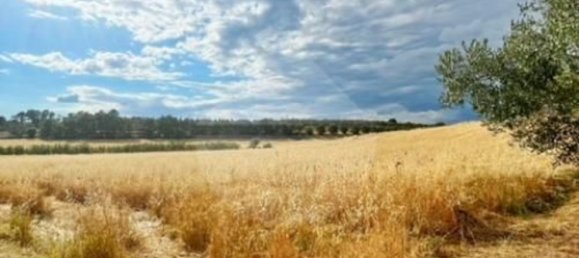 Terreno em Montefiascone, Italy 209000 m² N.º 274274 5