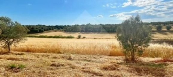 Terreno em Montefiascone, Italy 209000 m² N.º 274274 4