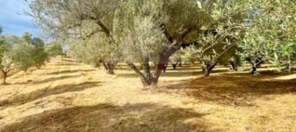 Terreno em Montefiascone, Italy 209000 m² N.º 274274 3