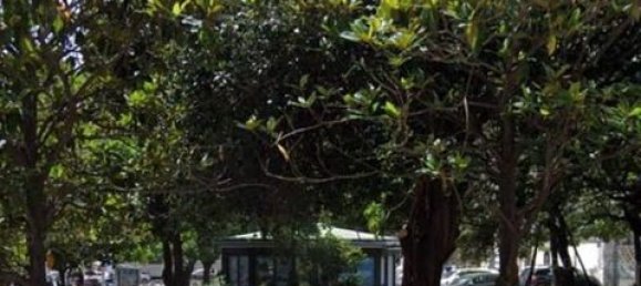 5 bedrooms Apartment in Naples, Italy No. 332180 3