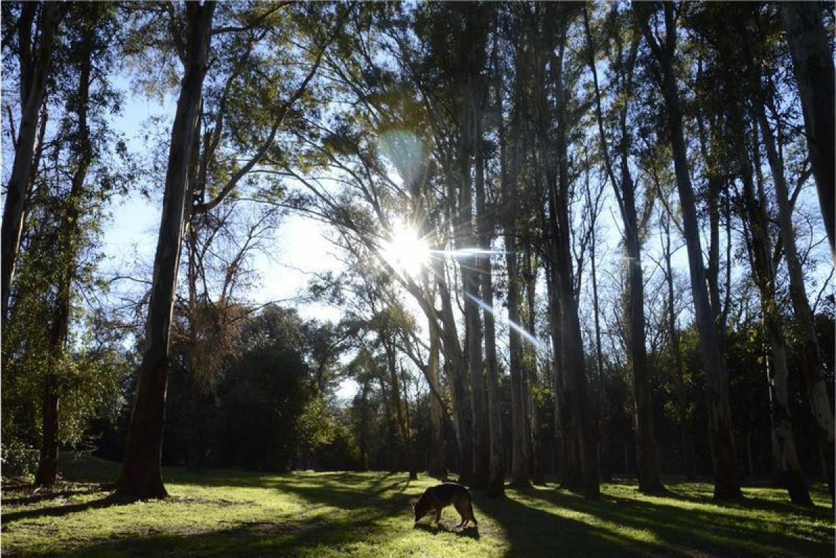 Land in Buenos Aires, Argentina No. 118510