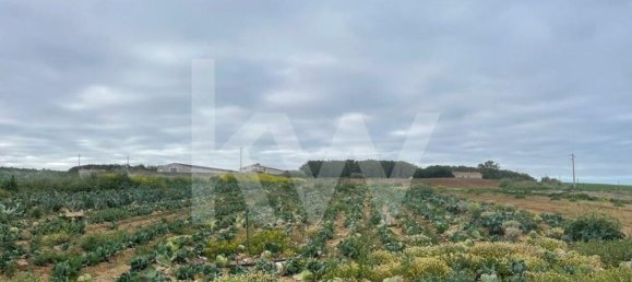 Terreno em Atouguia da Baleia, Portugal 13600 m² N.º 86496 11