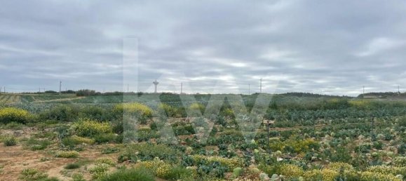Terreno em Atouguia da Baleia, Portugal 13600 m² N.º 86496 10