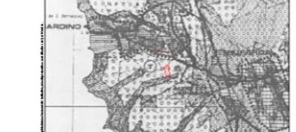 Terreno em Atouguia da Baleia, Portugal 13600 m² N.º 86496 19