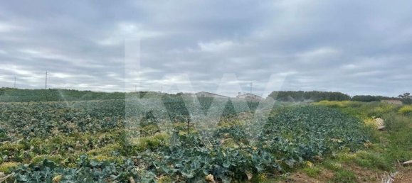 Terreno em Atouguia da Baleia, Portugal 13600 m² N.º 86496 2