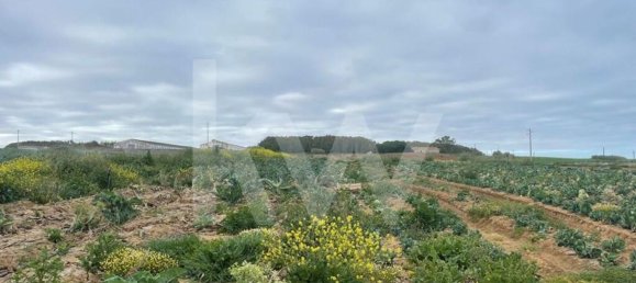 Terreno em Atouguia da Baleia, Portugal 13600 m² N.º 86496 12