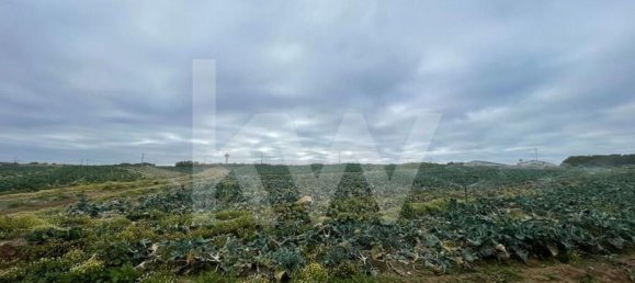 Terreno em Atouguia da Baleia, Portugal 13600 m² N.º 86496 3