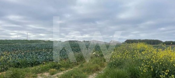 Terreno em Atouguia da Baleia, Portugal 13600 m² N.º 86496 6