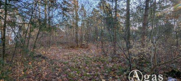 Grundstück in Potsdam-Mittelmark, Germany, Nr. 32084 5