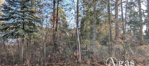 Grundstück in Potsdam-Mittelmark, Germany, Nr. 32084 3