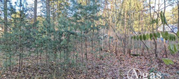 Grundstück in Potsdam-Mittelmark, Germany, Nr. 32084 6