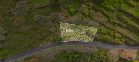 قطعة أرض في Calheta, Portugal 900متر مربع رقم 79021 6