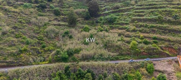 قطعة أرض في Calheta, Portugal 900متر مربع رقم 79021 13