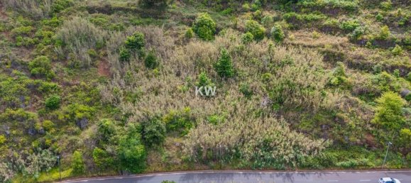 قطعة أرض في Calheta, Portugal 900متر مربع رقم 79021 19