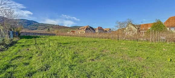 684m² Land in Dambach-la-Ville, France No. 48099 5