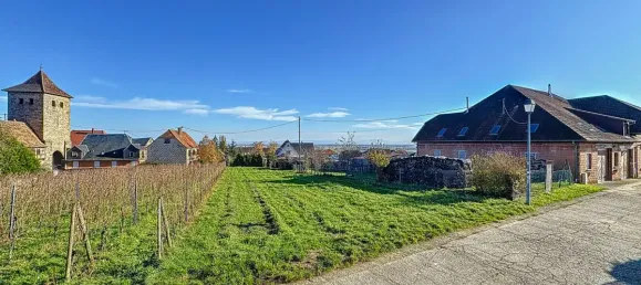 684m² Land in Dambach-la-Ville, France No. 48099 4