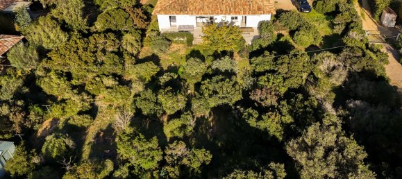 3 bedrooms Villa in Lecci, France No. 45483 33