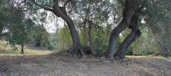 6غرفة منزل في Belvedere Marittimo, Italy رقم 74207 2