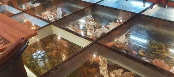 Propriété commerciale à Reggio Emilia, Italy 600m² No. 173419 9