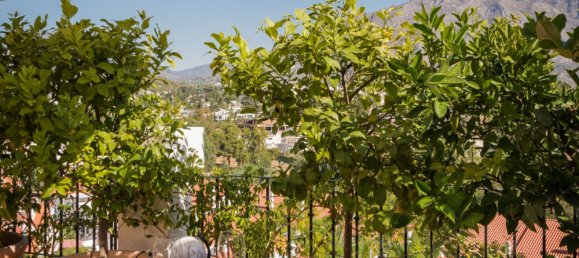 Apartamento de 6 dormitorios en Marbella, Spain No. 190222 40