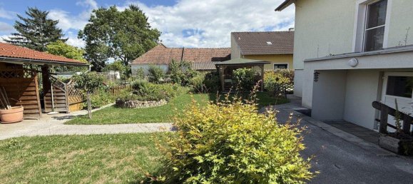 6 rooms House in Winzendorf-Muthmannsdorf, Austria No. 247074 11