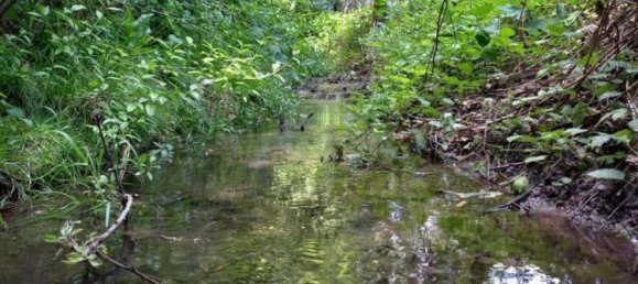 Casa de 4 divisões em Gars am Kamp, Austria N.º 133342 25