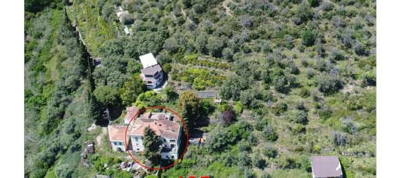 Terreno en San Lorenzo al Mare, Italy 420000 m² No. 112022 8