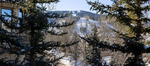 Bungalow de 4 dormitorios en Beaver Creek, USA No. 560318 13