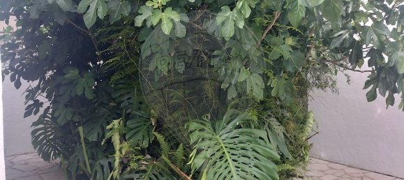 9 bedrooms Building in Avis, Portugal No. 66627 26