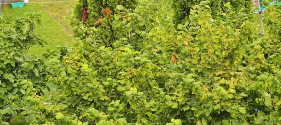 4 Schlafzimmer Stadthaus in Main-Kinzig, Germany, Nr. 145101 8