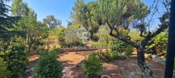 2 Schlafzimmer Villa in Martina Franca, Italy, Nr. 329198 25