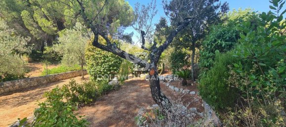 2 Schlafzimmer Villa in Martina Franca, Italy, Nr. 329198 28