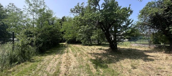  قطعة أرض في Edelstal, Austria 2452متر مربع رقم 155169 25