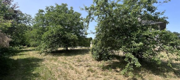  قطعة أرض في Edelstal, Austria 2452متر مربع رقم 155169 26