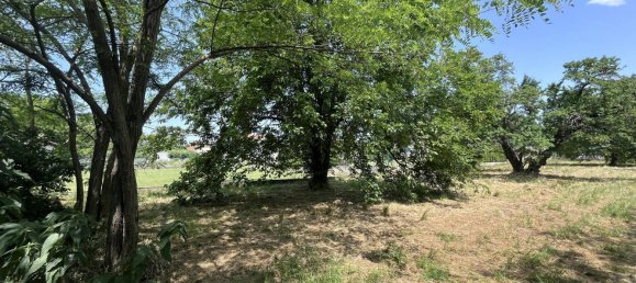  قطعة أرض في Edelstal, Austria 2452متر مربع رقم 155169 22