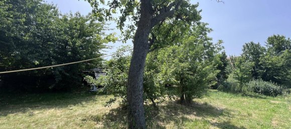  قطعة أرض في Edelstal, Austria 2452متر مربع رقم 155169 16