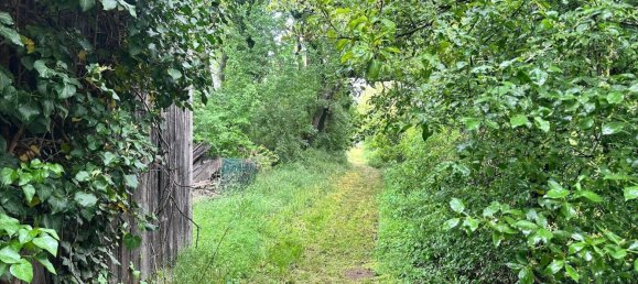  قطعة أرض في Edelstal, Austria 2452متر مربع رقم 155169 5