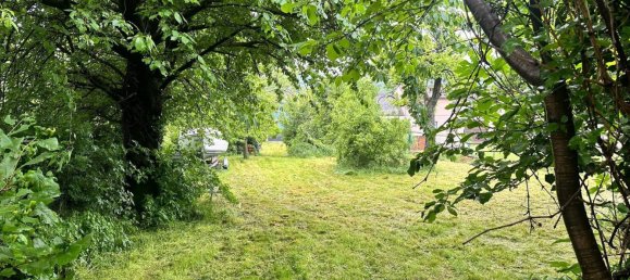  قطعة أرض في Edelstal, Austria 2452متر مربع رقم 155169 6