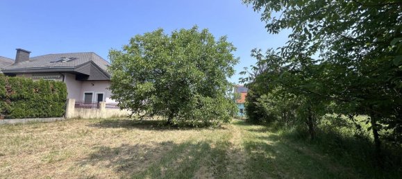  قطعة أرض في Edelstal, Austria 2452متر مربع رقم 155169 24