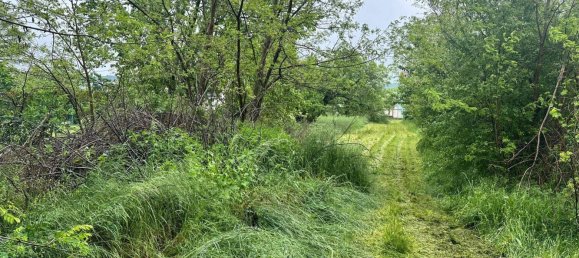  قطعة أرض في Edelstal, Austria 2452متر مربع رقم 155169 7