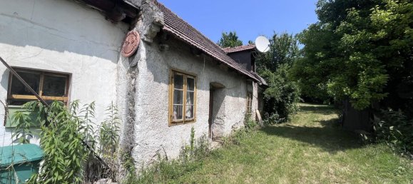  قطعة أرض في Edelstal, Austria 2452متر مربع رقم 155169 11