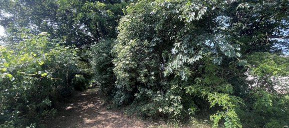  قطعة أرض في Edelstal, Austria 2452متر مربع رقم 155169 20