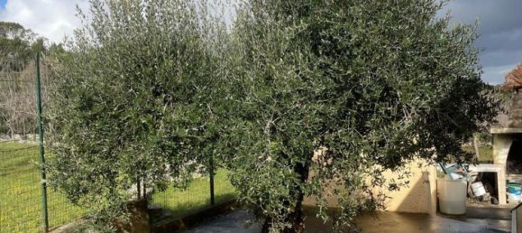 4 rooms Villa in Ceglie Messapica, Italy No. 203628 29