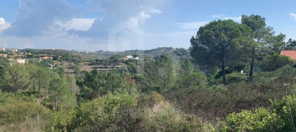 Terrain à Ericeira, Portugal 5727m² No. 89700 2