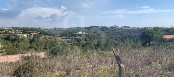 Terrain à Ericeira, Portugal 5727m² No. 89700 16