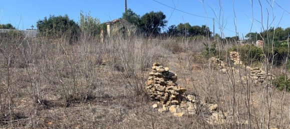 Terrain à Ericeira, Portugal 5727m² No. 89700 14