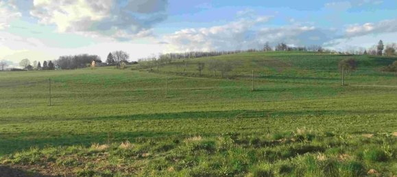 4 غرف نوم منزل في Alby-sur-Cheran, France رقم 54297 19