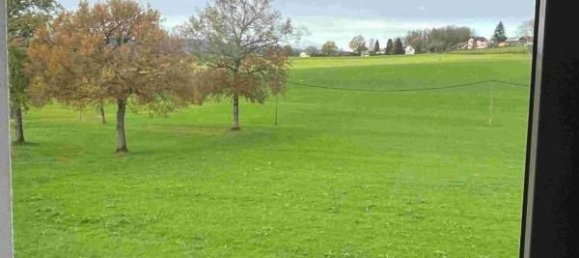 4 غرف نوم منزل في Alby-sur-Cheran, France رقم 54297 13